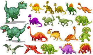 恐龙的类型